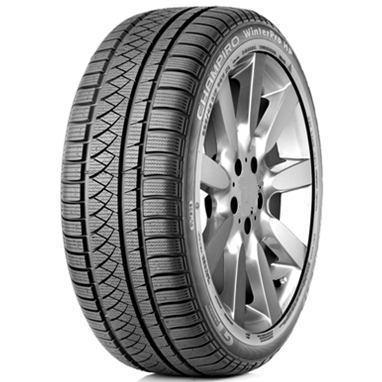 Шины GT Radial Champiro WinterPro HP 225/45 R18 95V XL